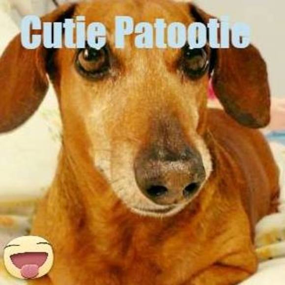 Meet your Posher, Elena - Picture 1 of 1